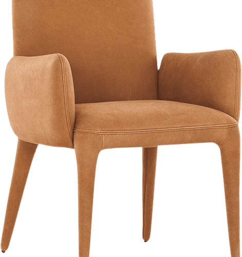 Cara Dining Armchair Camel Primary View